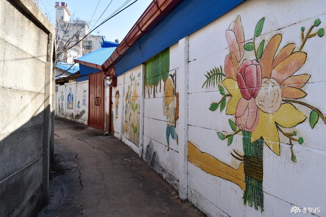 미나릿길 벽화마을 작품 중 여러 작품이 한 각도에서 보이는 모습