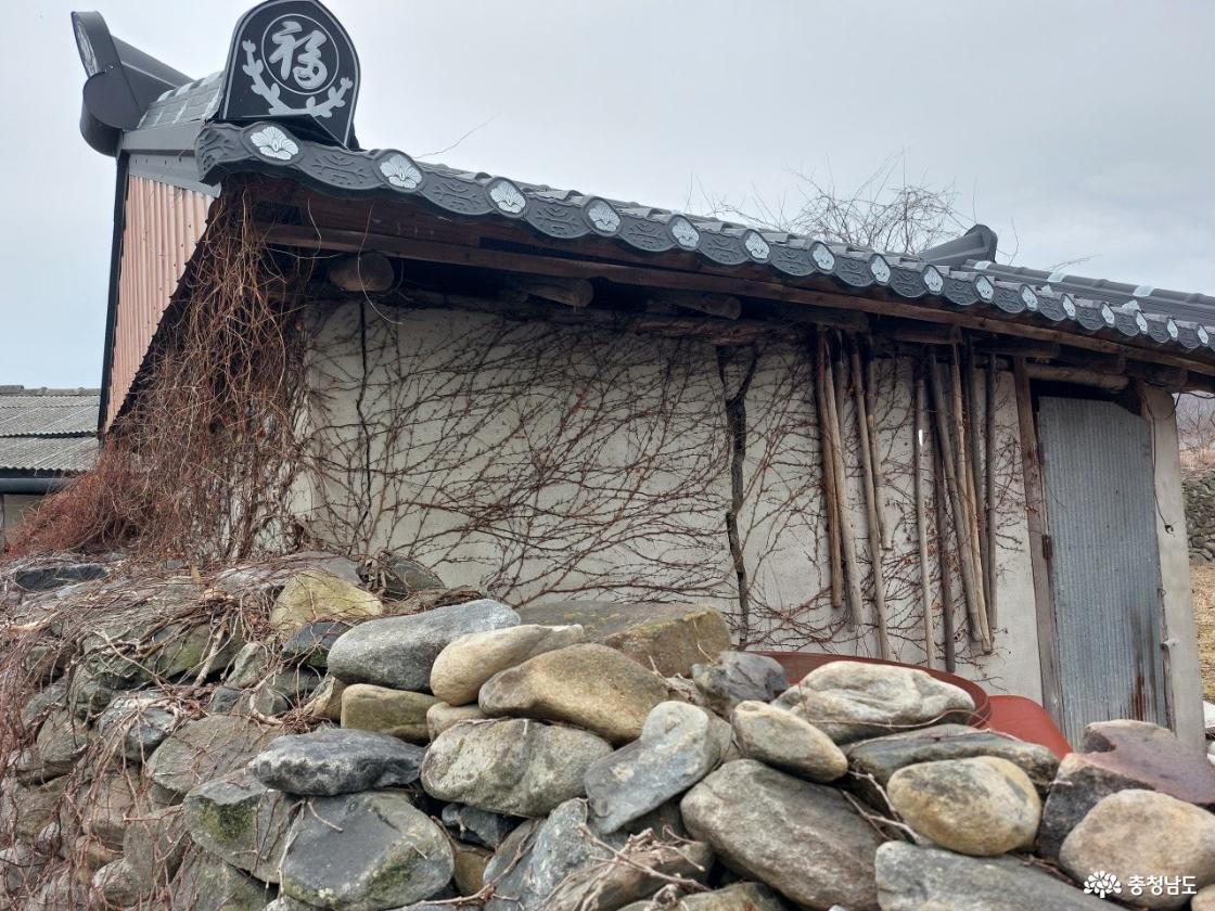 담장 넝쿨과 농기구