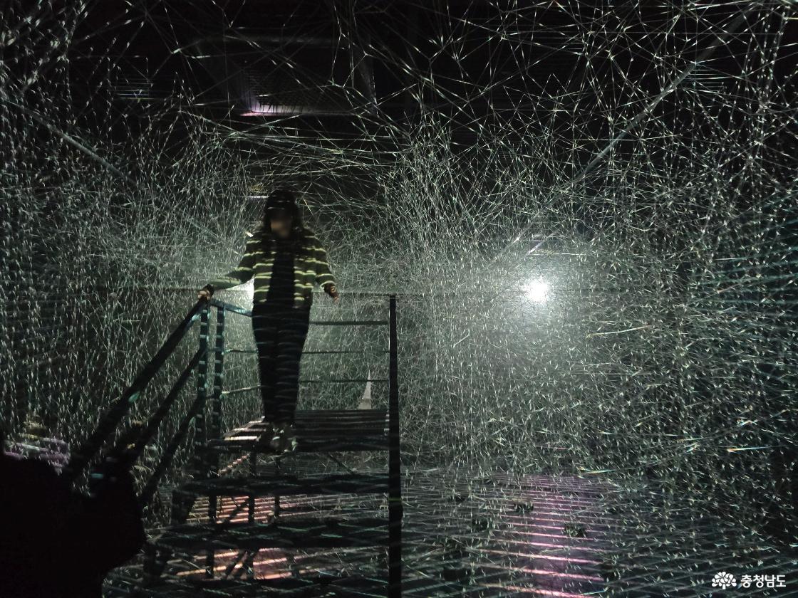 수많은 빛의 선이 교차하는 몰입형 미디어아트 공간에서 전시를 체험하는 관람객