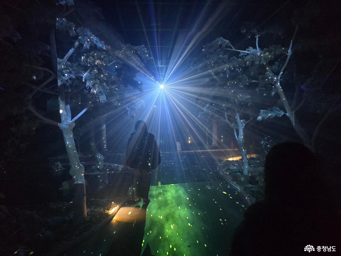 빛이 나무 사이로 퍼지는 숲 콘셉트의 몰입형 미디어 아트 공간