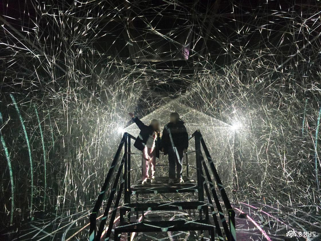 빛의 선이 가득한 공간 속 계단 위에서 사진을 찍는 관람객