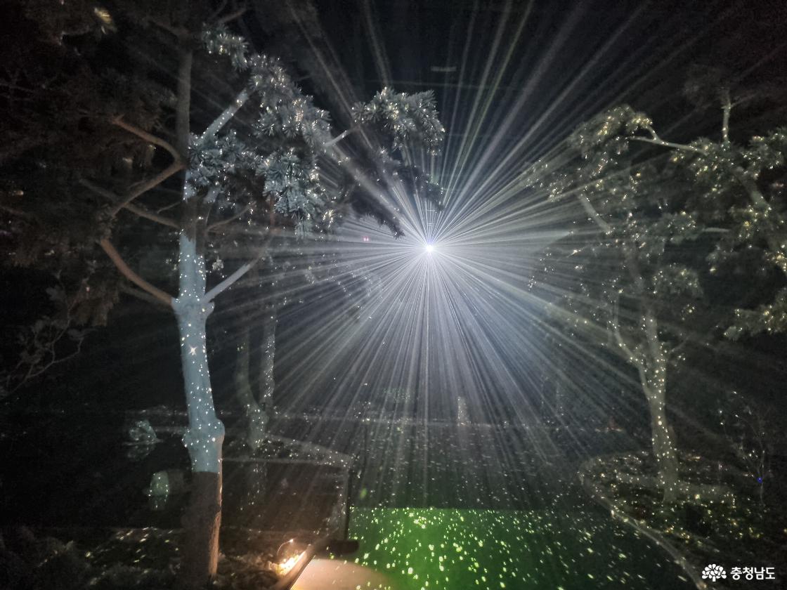 빛이 퍼지는 숲 콘셉트 미디어 아트 공간