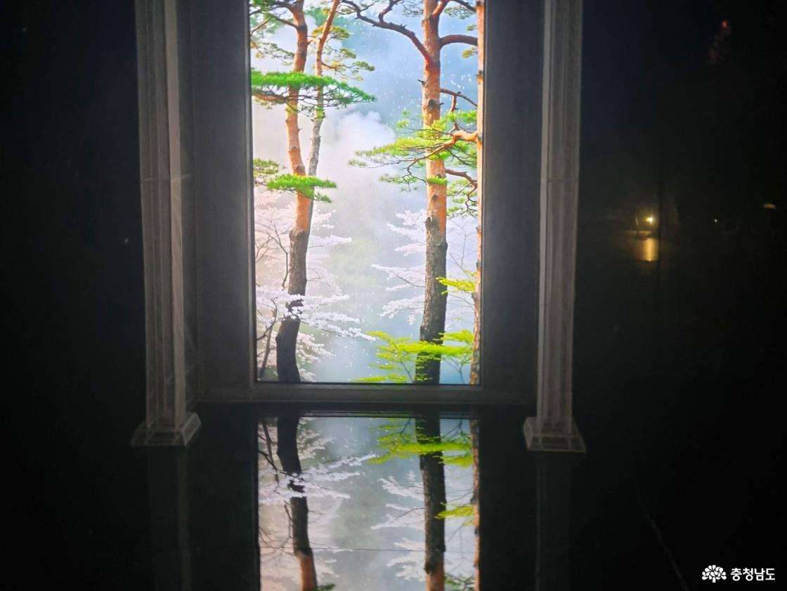 창문 너머로 숲 풍경이 펼쳐진 듯한 미디어아트 전시 공간과 바닥에 비친 반사 장면