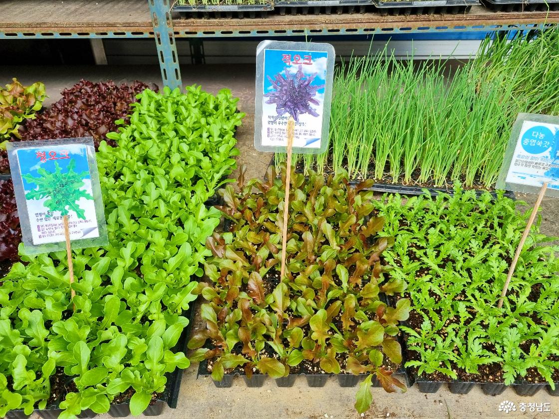 공주 산성시장 영농자재 판매점