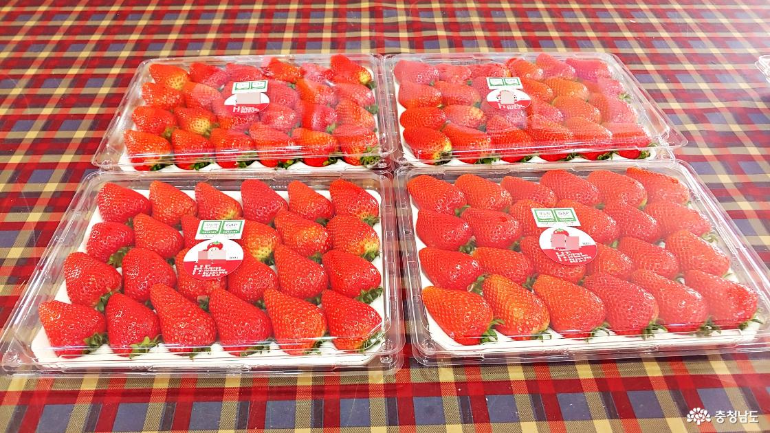 충남의 맛, 논산의 맛 논산딸기 