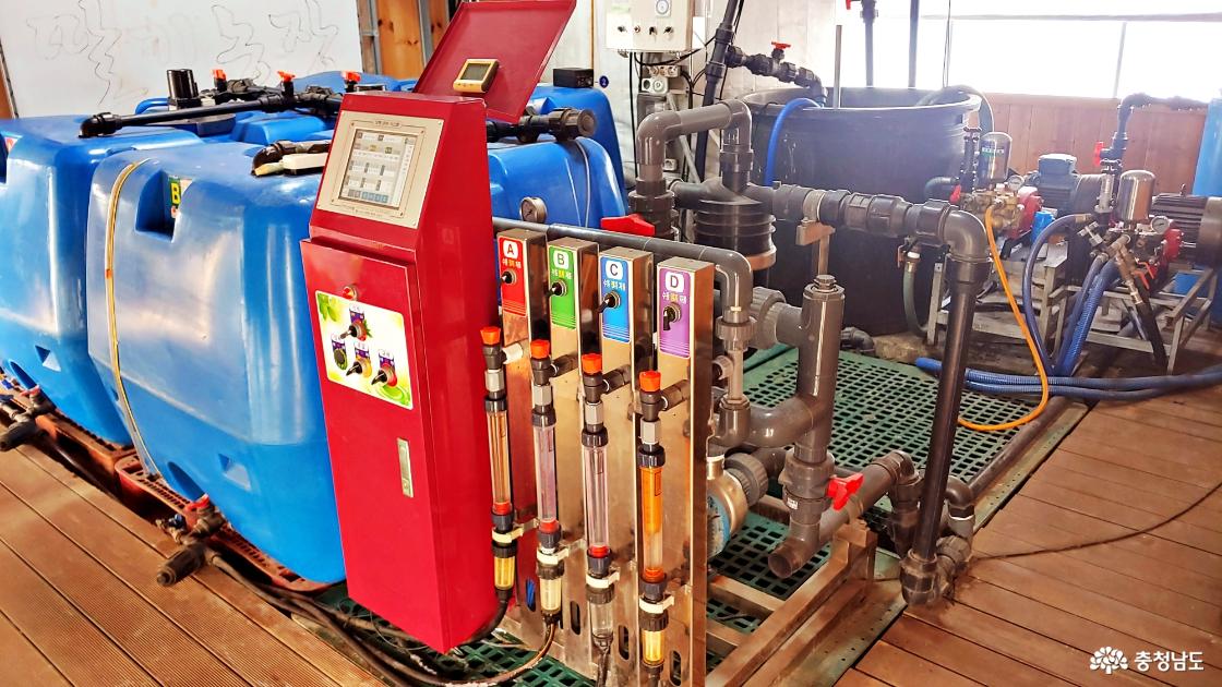 딸기 재배에 필요한 시설들 