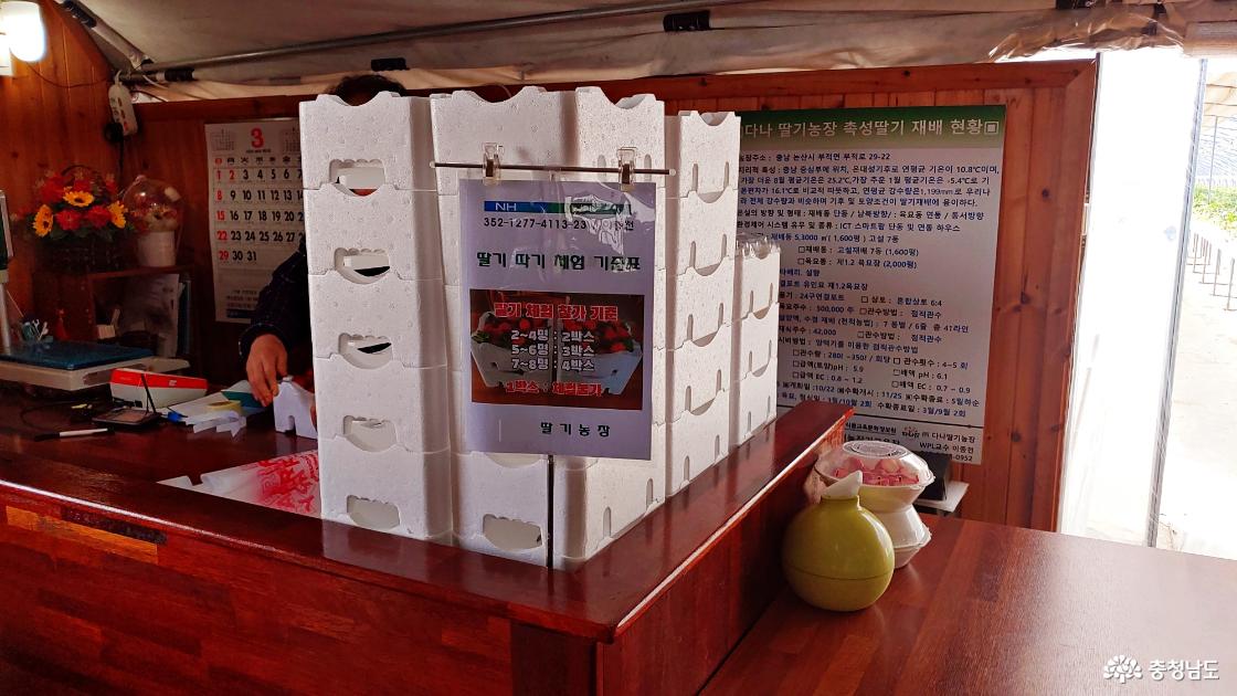 출하를 대기하고 