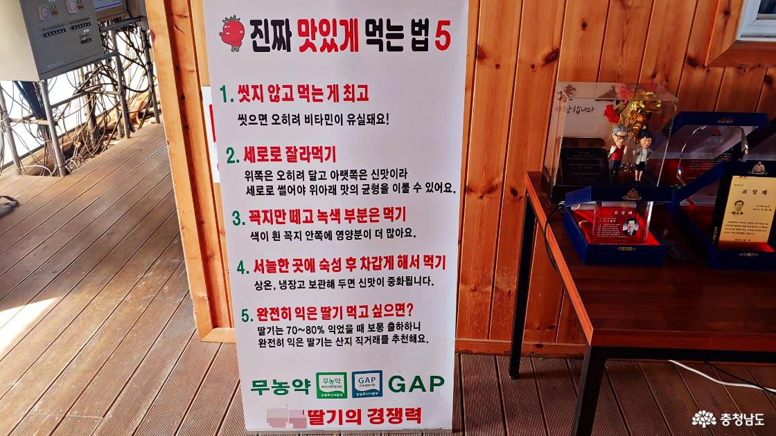 논산딸기 맛나게 먹는 법 