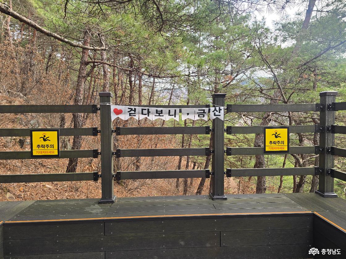 금산 월영산 출렁다리 입구 전망 데크, 소나무 숲 사이 ‘걷다 보니 금산’ 문구와 안전 안내 표지판이 보이는 모습