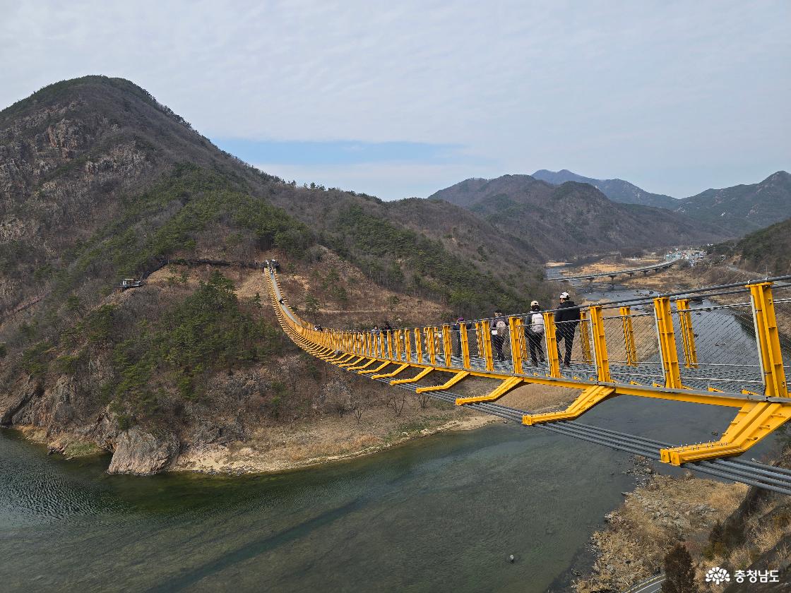 금산 월영산 출렁다리 전경, 금강 위를 가로지르는 노란 출렁다리와 산세가 어우러진 풍경