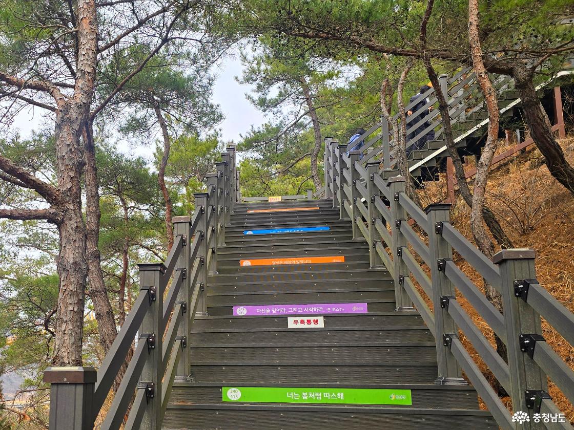 월영산 출렁다리 올라가는 계단, 숲길 사이로 이어진 긴 나무 데크 계단 모습