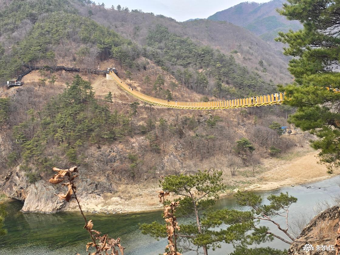 월영산 출렁다리 측면 풍경, 계곡과 절벽 사이 길게 이어진 출렁다리 모습