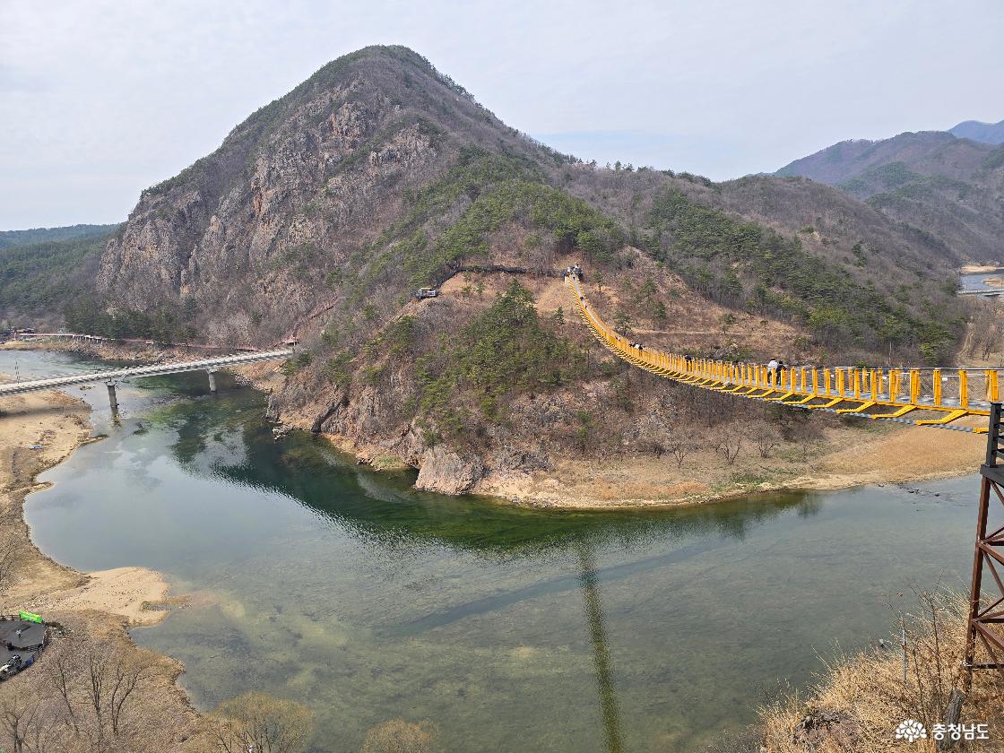 금산 월영산 출렁다리 측면 전경, 계곡 위를 길게 가로지르는 노란 출렁다리 모습