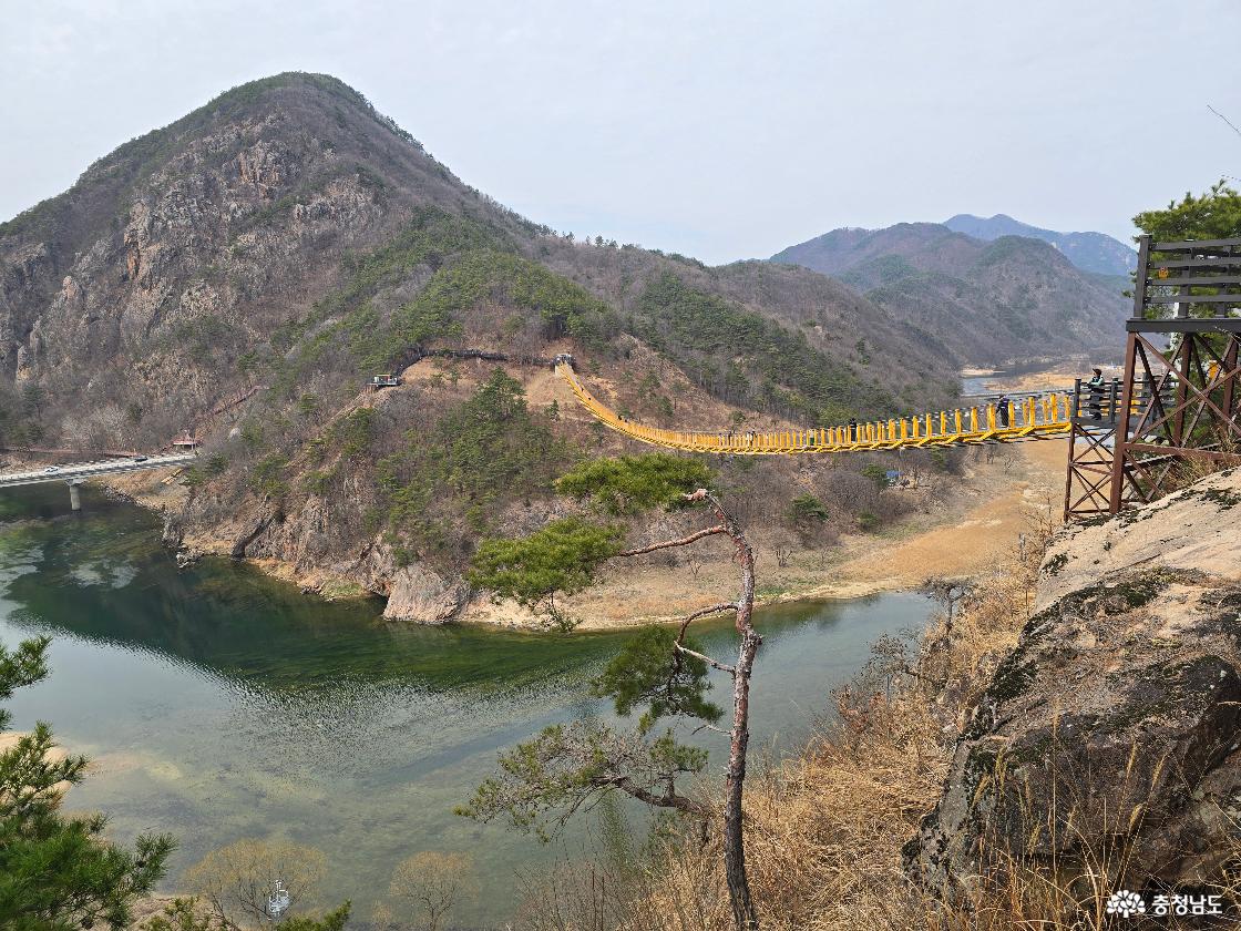 월영산 출렁다리와 금강 전경, 절벽 위에서 내려다본 자연 풍경과 다리 모습