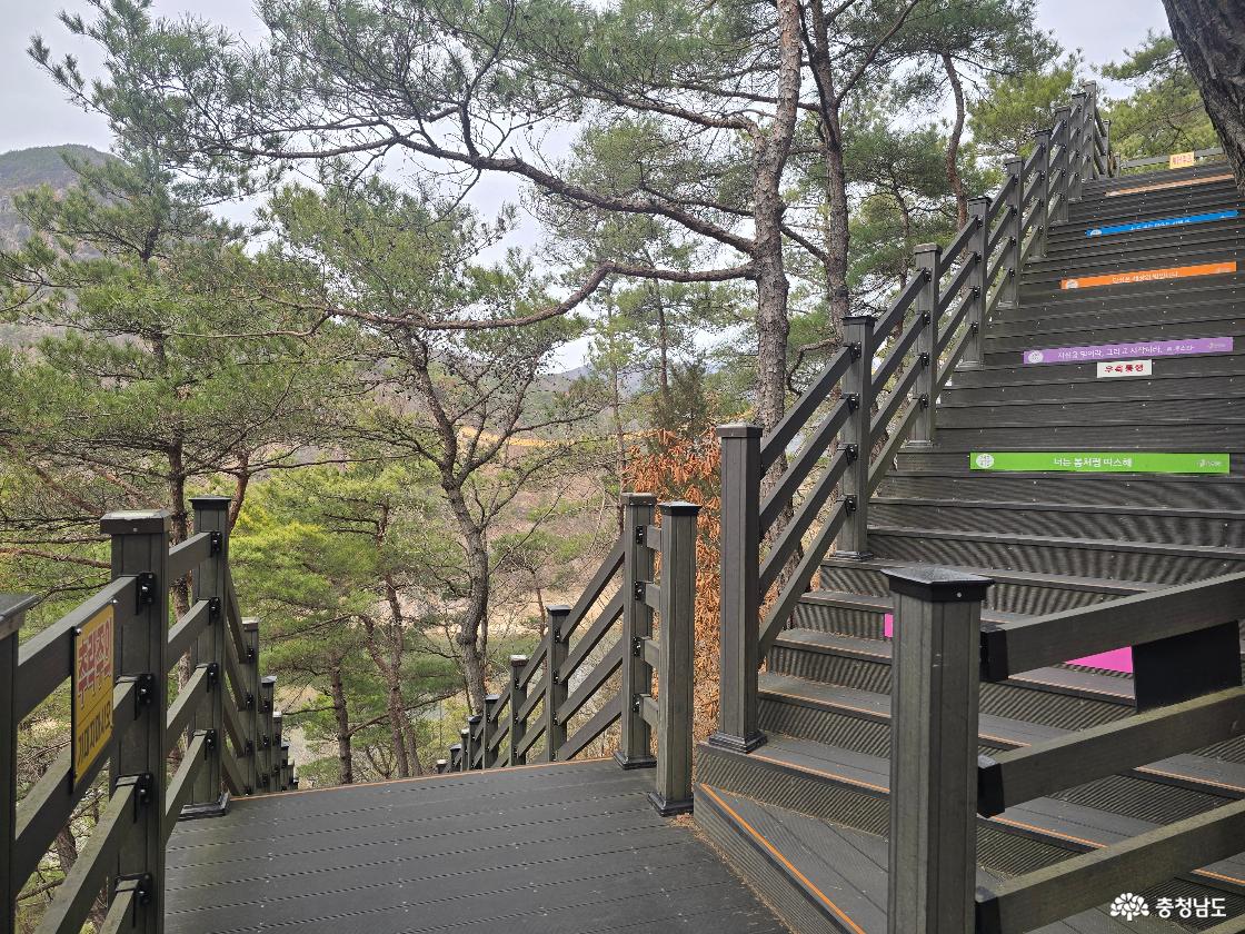 금산 월영산 출렁다리로 올라가는 나무 데크 계단, 소나무 숲 사이로 이어진 등산로와 안내 문구가 표시된 계단 풍경
