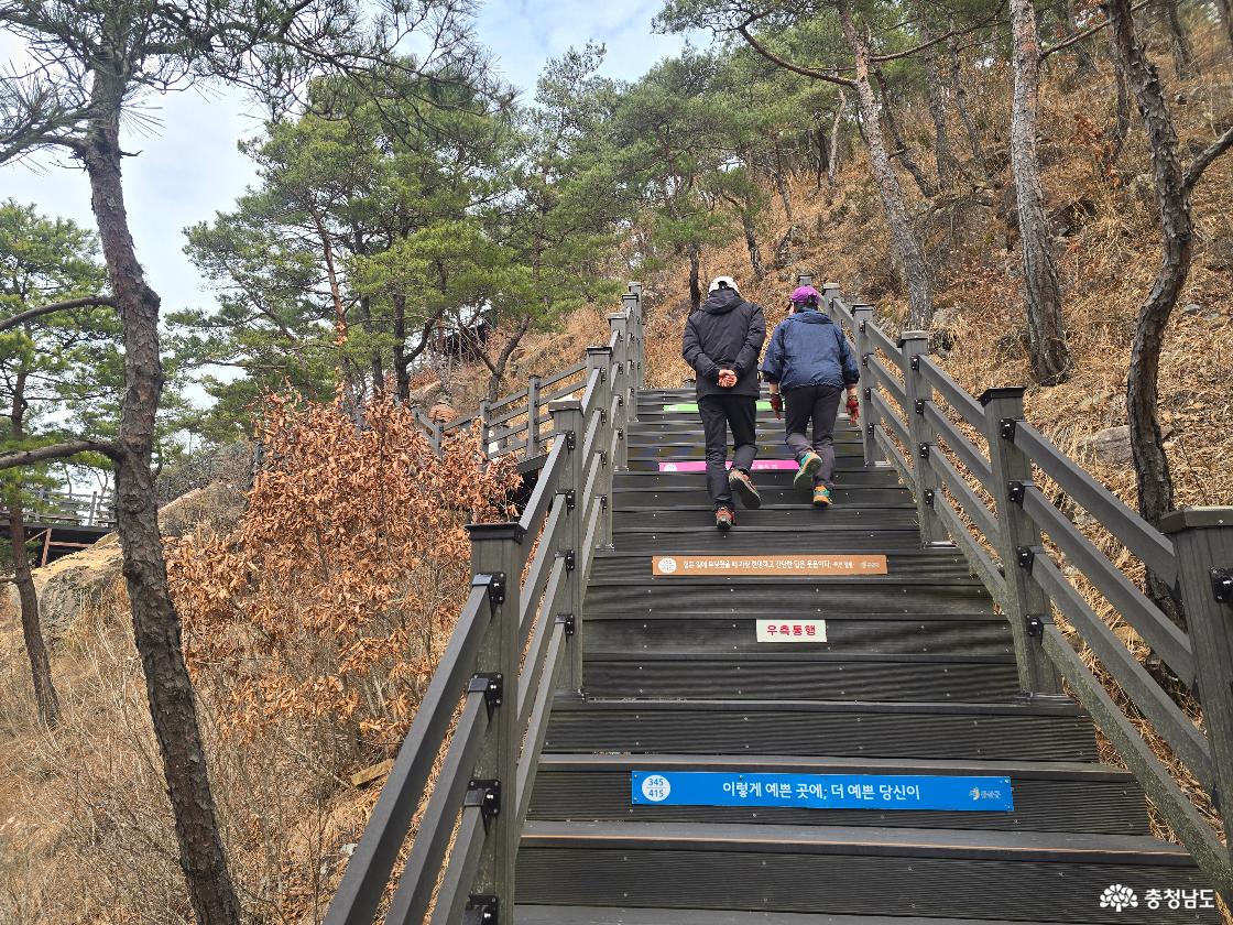 월영산 출렁다리 오르는 길, 소나무 숲 사이 계단을 올라가는 방문객들 모습