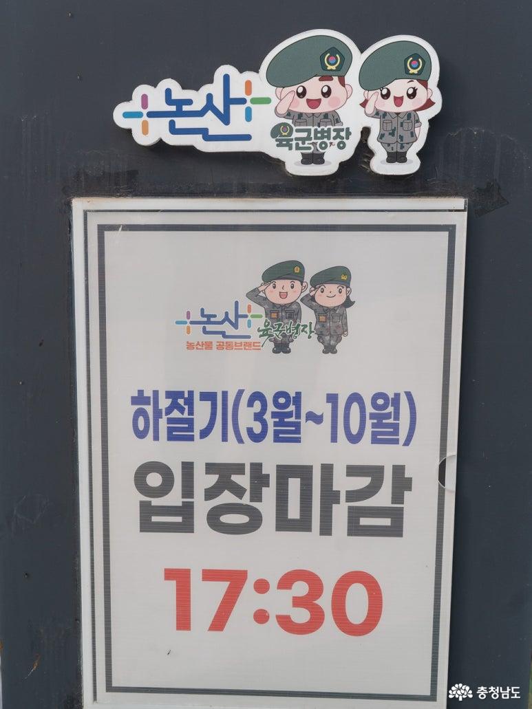 탑정호출렁다리 운영시간