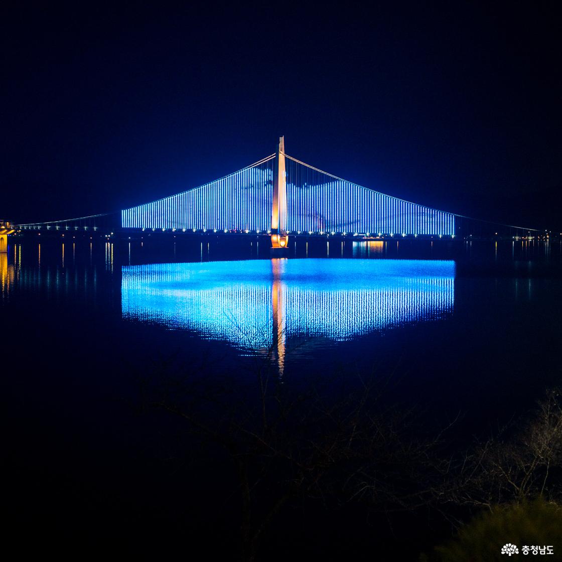 탑정호출렁다리 미디어파사드