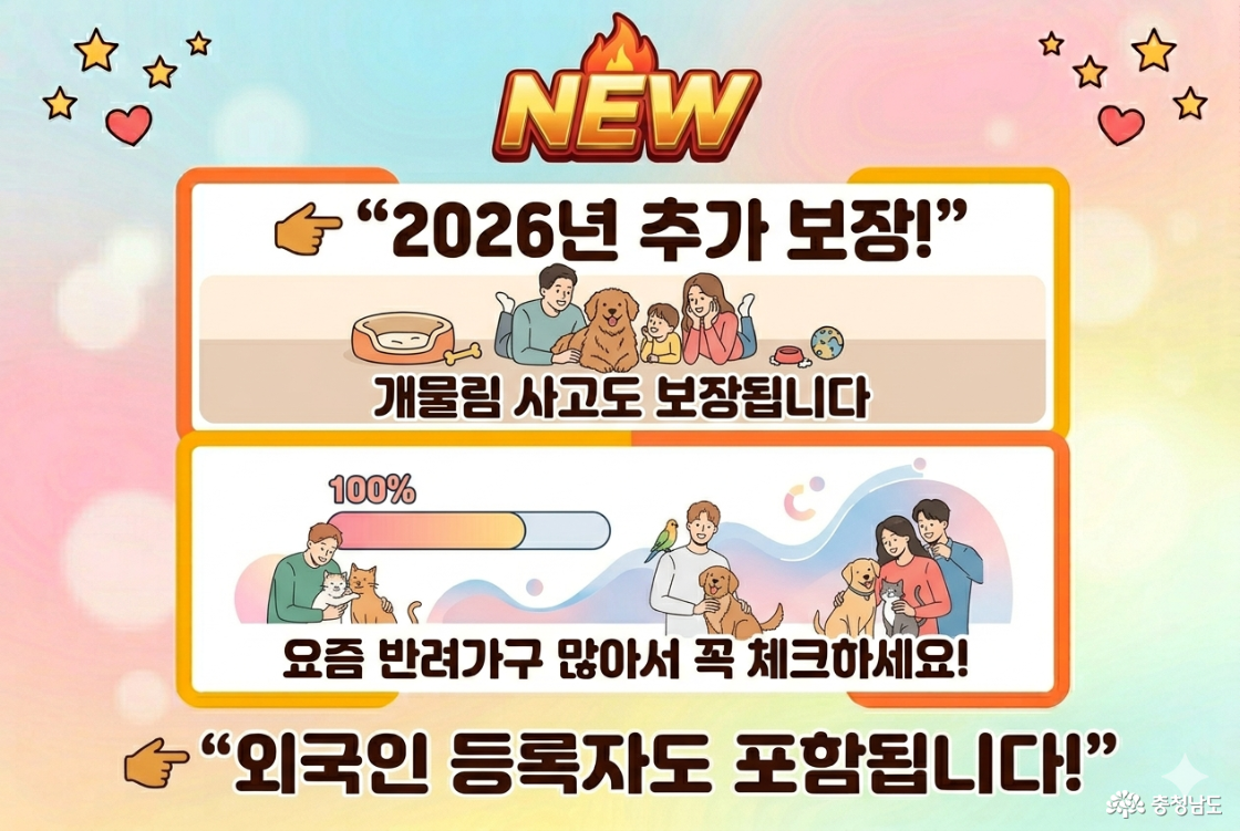 나노바나나 활용 카드뉴스-도민안전보험 추가보장