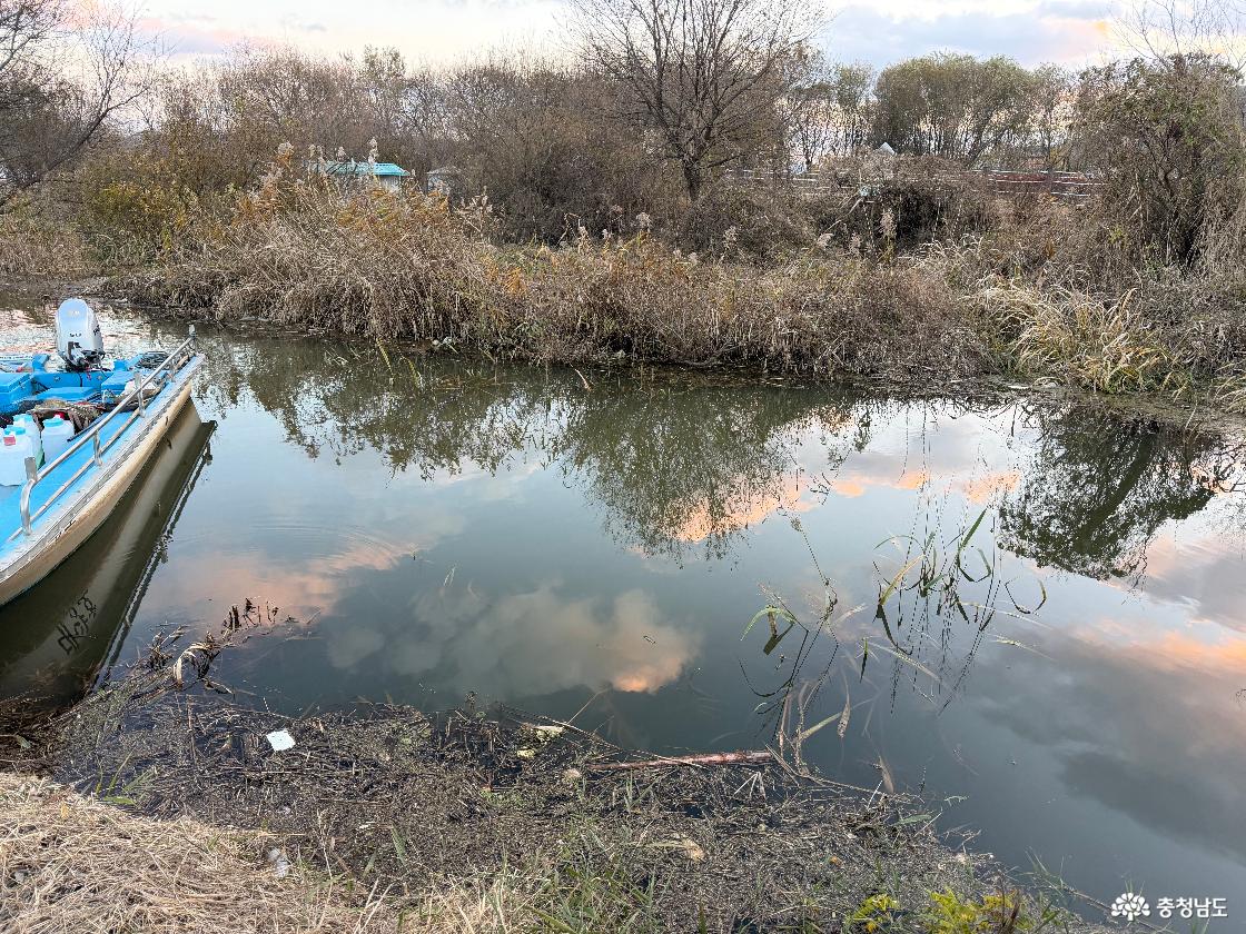 예당호 호수 뷰