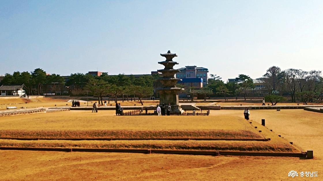 출입문에서 본 정림사지