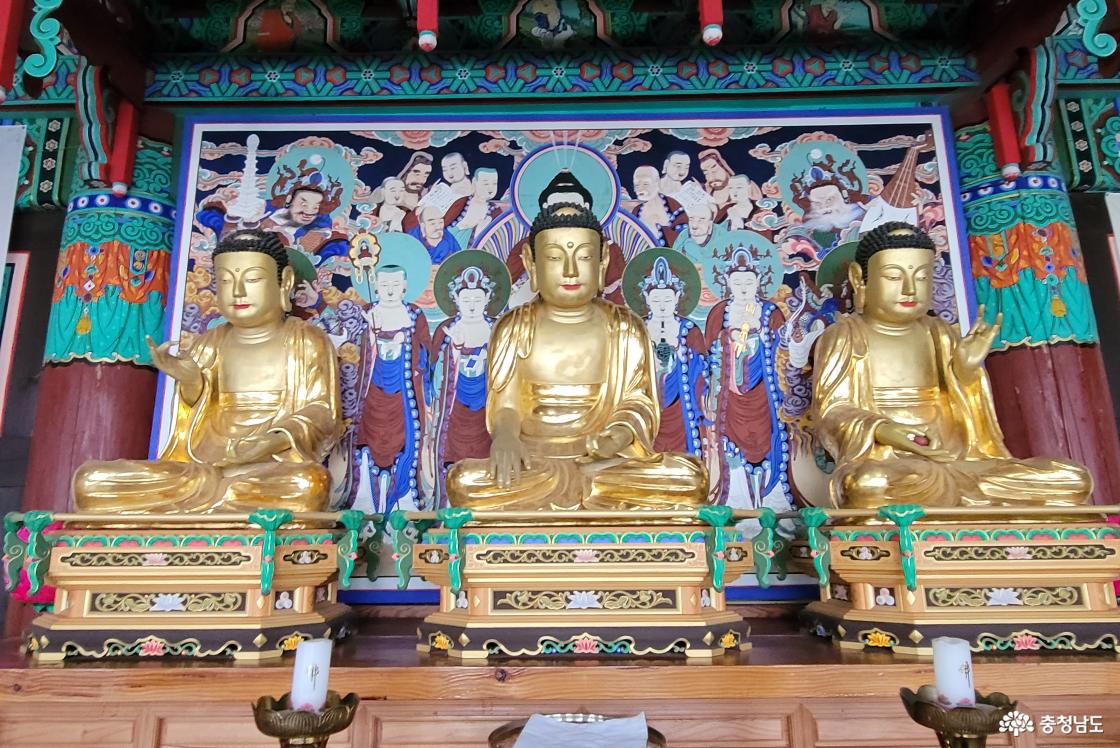 전통사찰 청양 정혜사 대웅전 목조석가여래삼불좌상.
