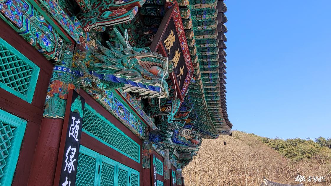 전통사찰 청양 정혜사 대웅전의 화려한 단청과 용문양.