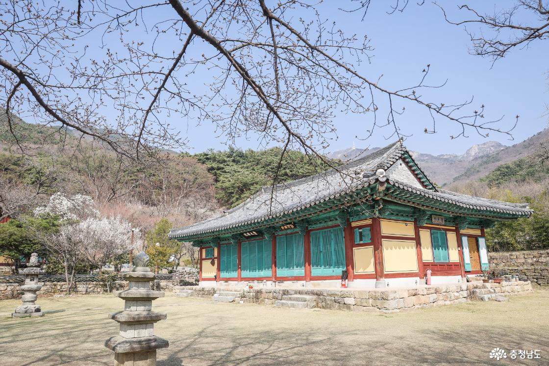 벽수선원