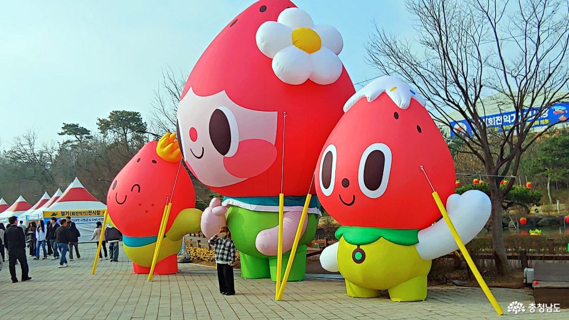 시민가족공원 딸기마스코트 공기인형 