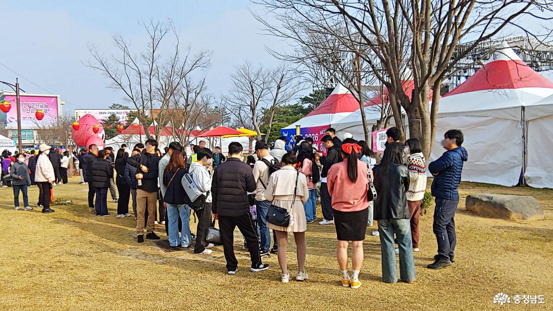 딸기축제장 오픈런