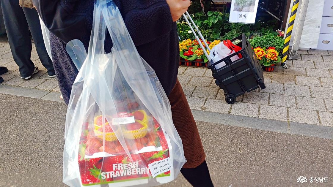 손에 손에 논산의 맛 - 청정딸기 들고 가기 