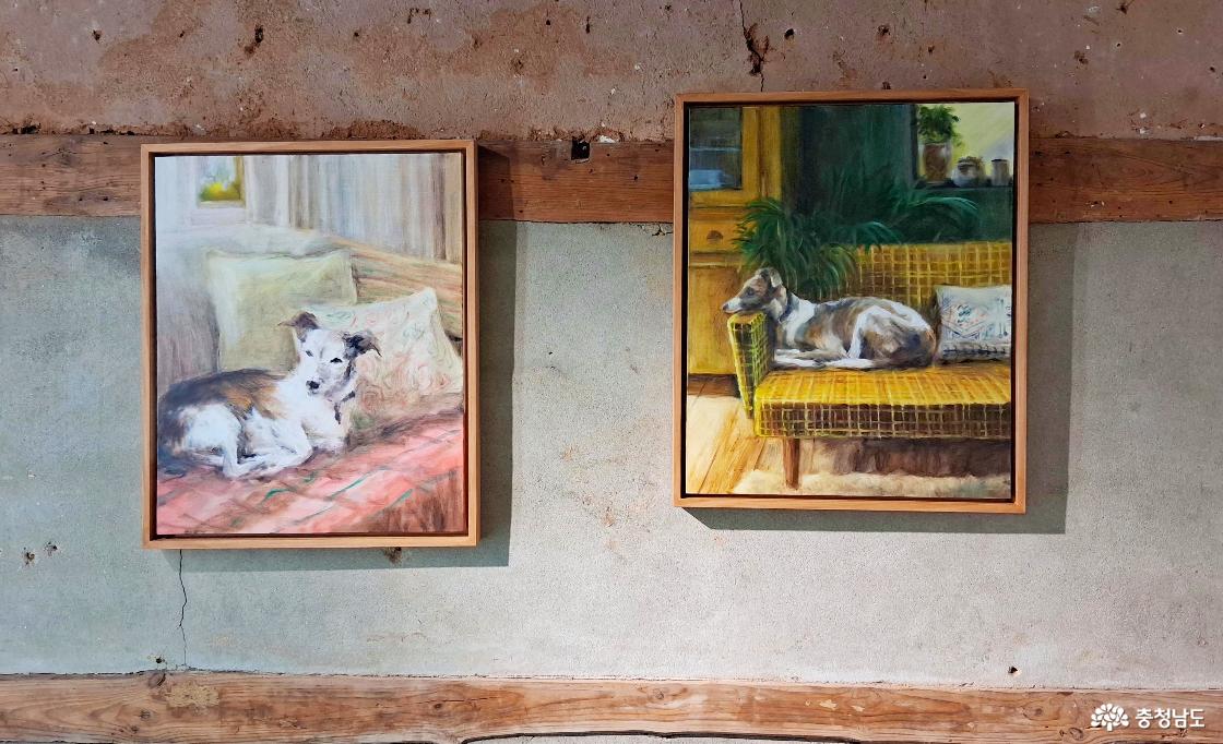 은주 作, 「임시보호2/ 임시보호」. (2026년)