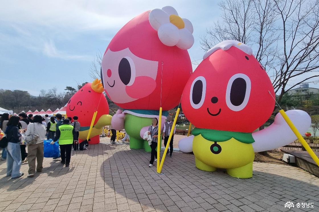 딸기축제장 베리프렌드 에어벌룬