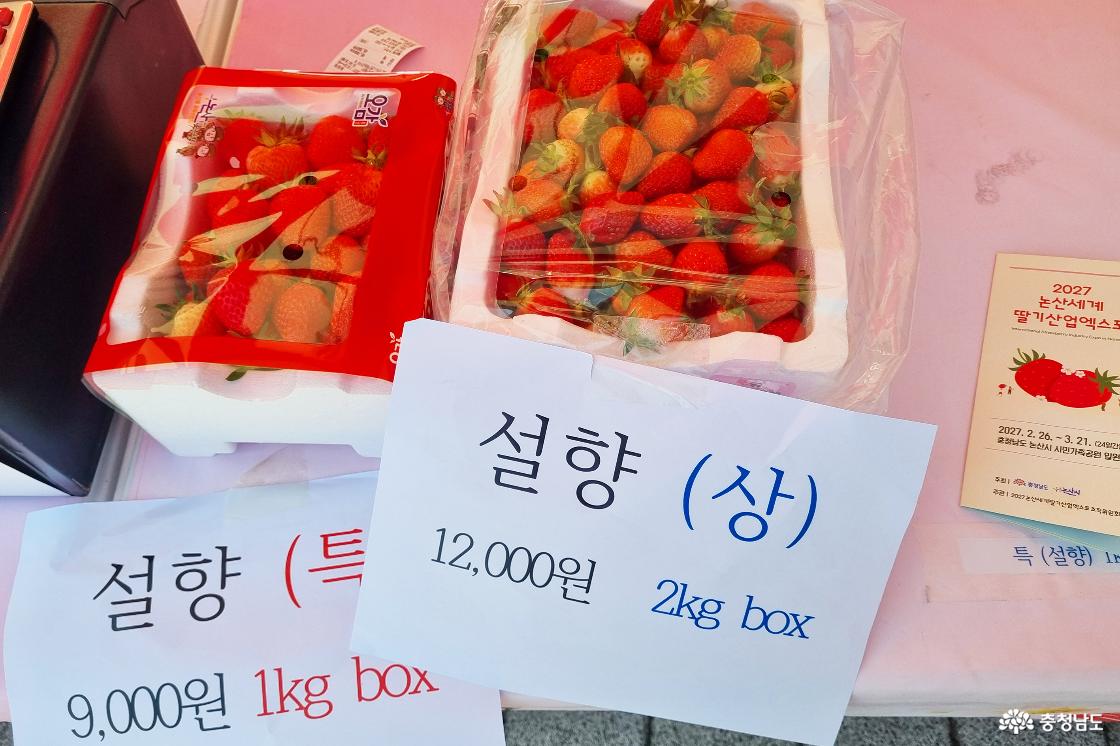 딸기 설향 판매대