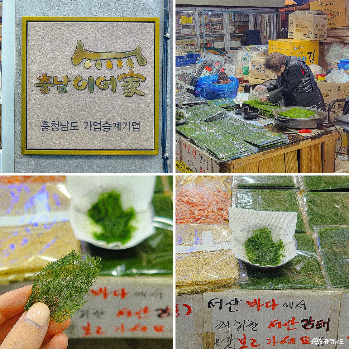 서산 감태