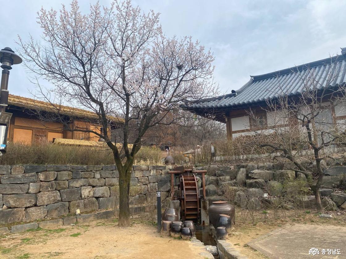 공주 한옥마을의 풍경 