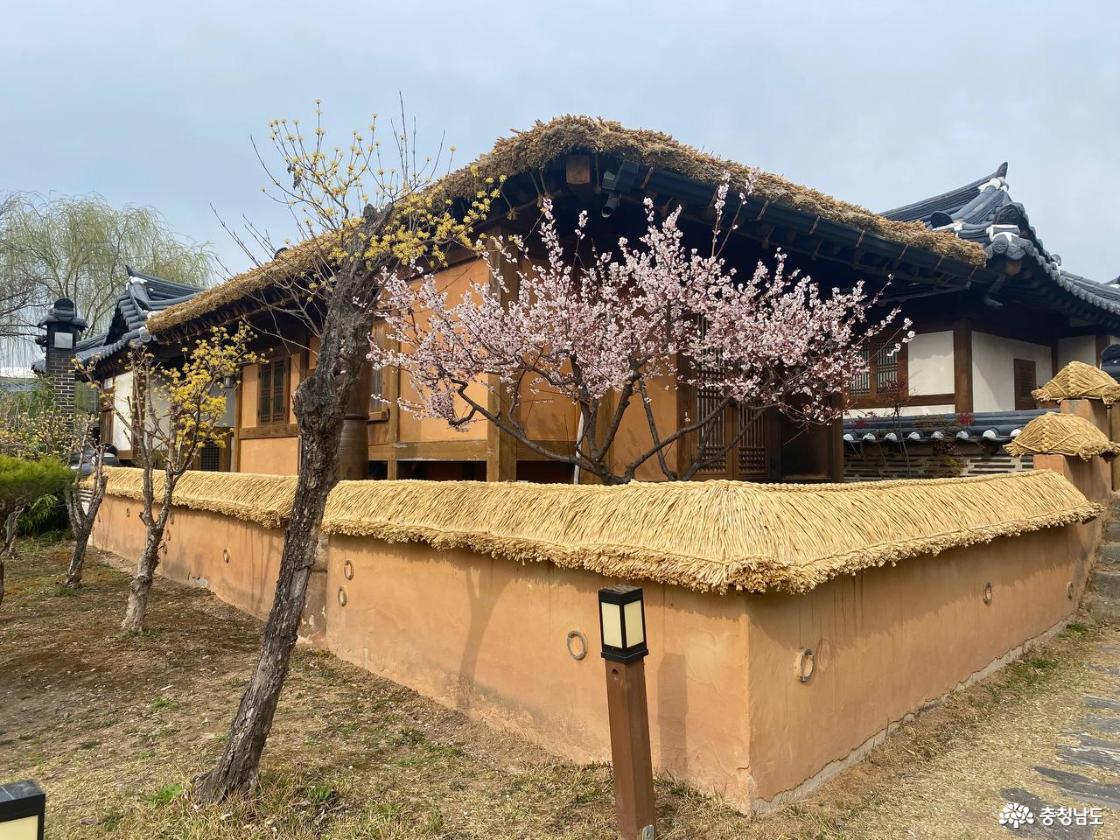 공주 한옥마을 풍경