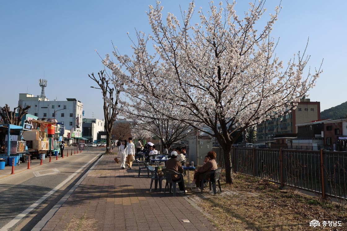 공주 인절미 축제의 현장