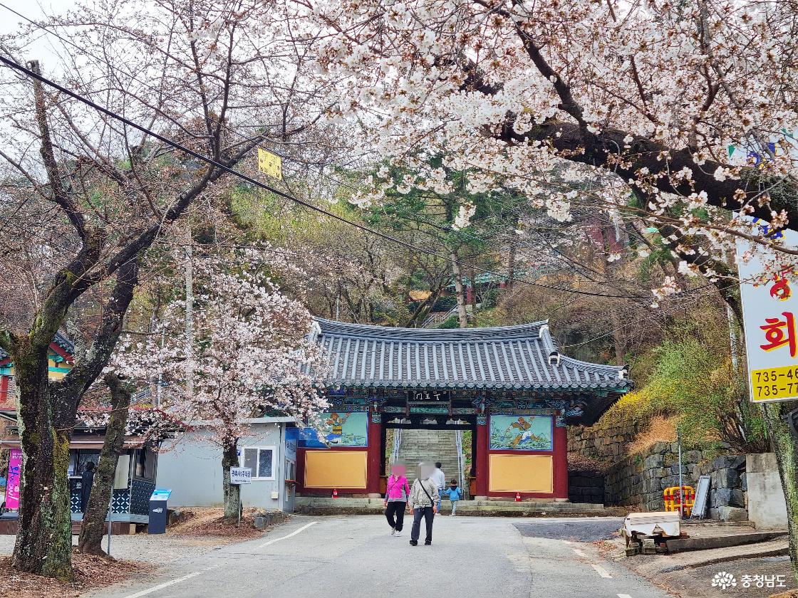 논산 벚꽃 일번지, 관촉사 사천왕문