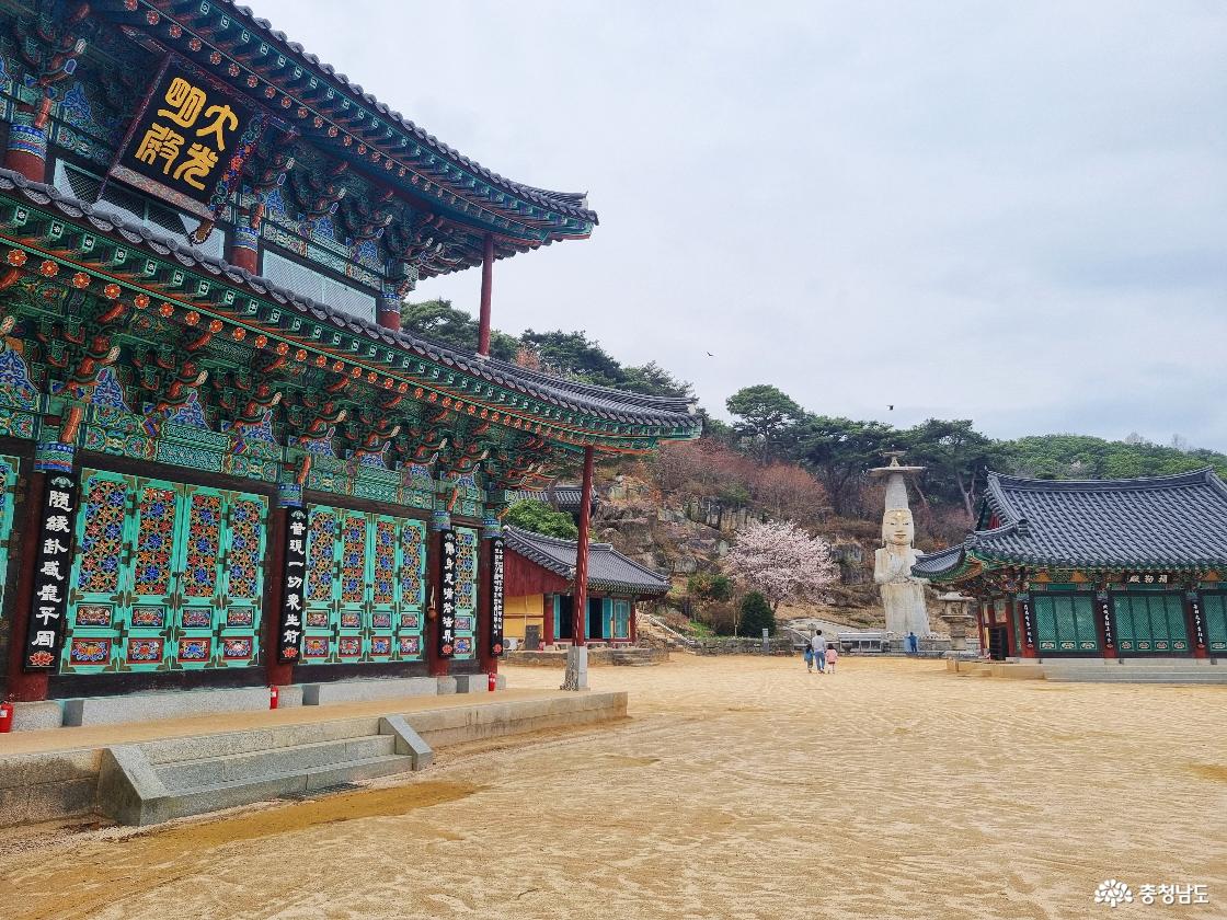 논산 벚꽃 일번지, 관촉사 경내