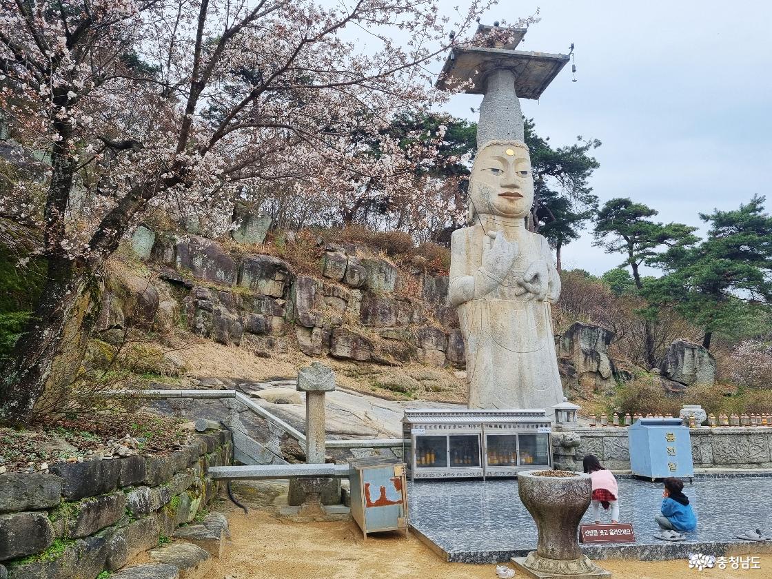 논산 벚꽃 일번지, 관촉사