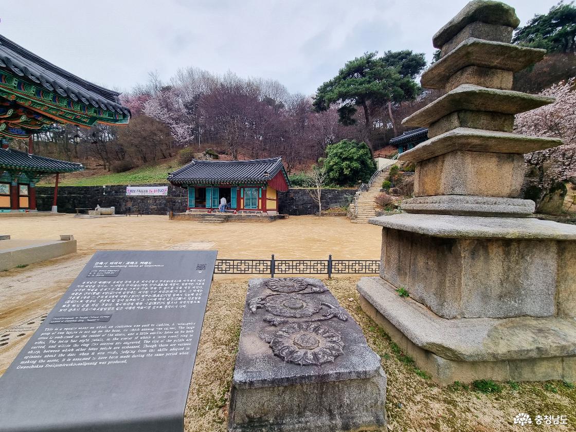 논산 벚꽃 일번지, 관촉사