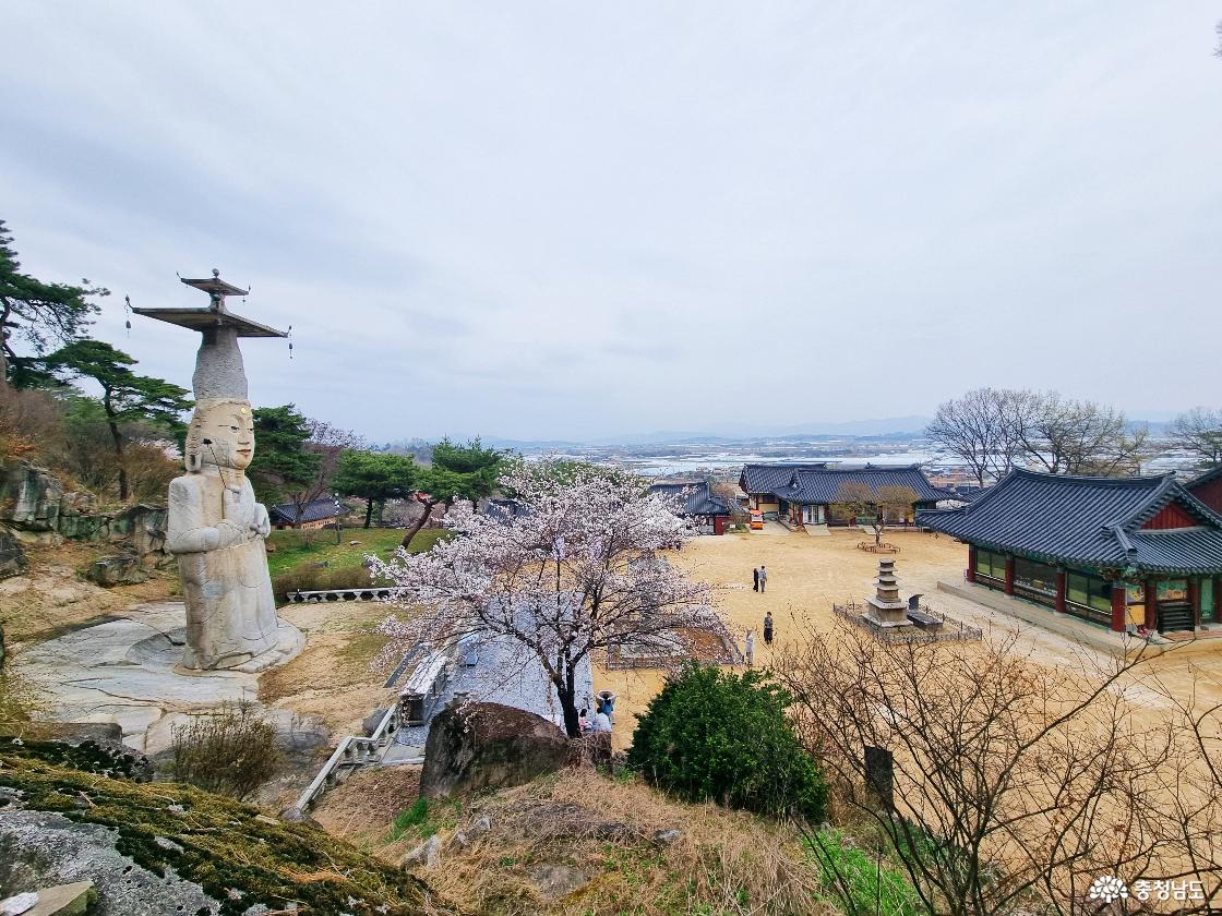 논산 벚꽃 일번지, 관촉사