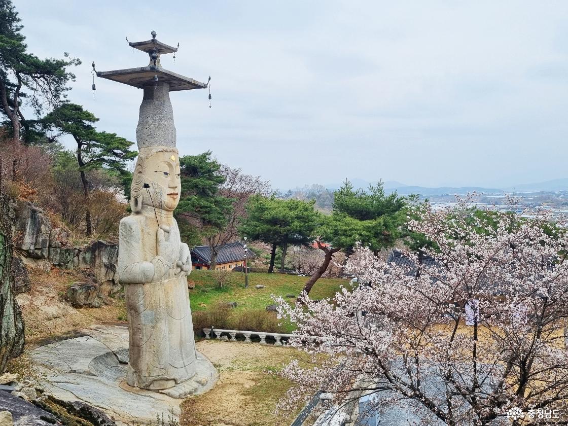 논산 벚꽃 일번지, 관촉사