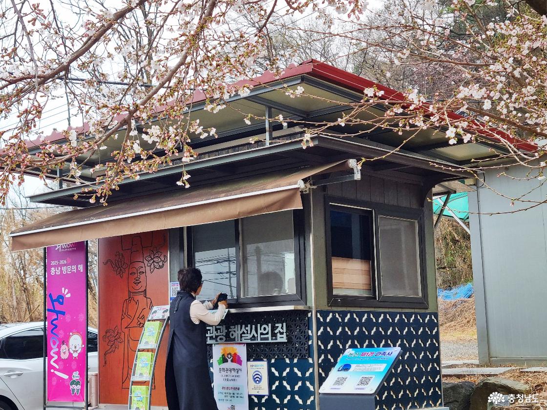 논산 벚꽃 일번지, 관촉사 문화해설사의 집