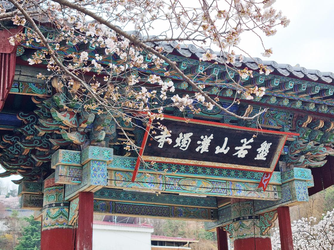 논산 벚꽃 일번지, 관촉사