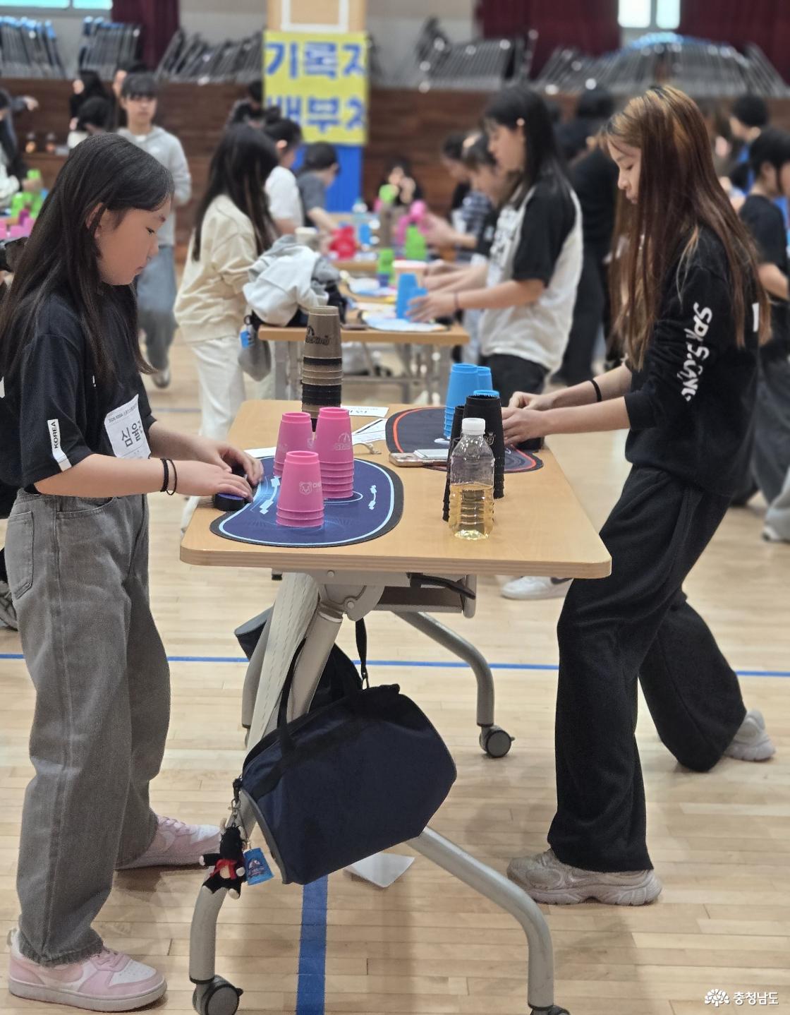 예산초등학교 체육관에서 열린 스포츠스태킹 경기에서 어린 선수들이 기록 측정에 집중하고 있는 모습