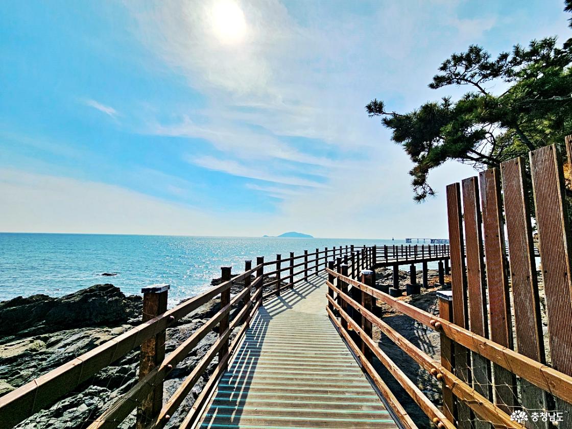 마량리 나무 데크길