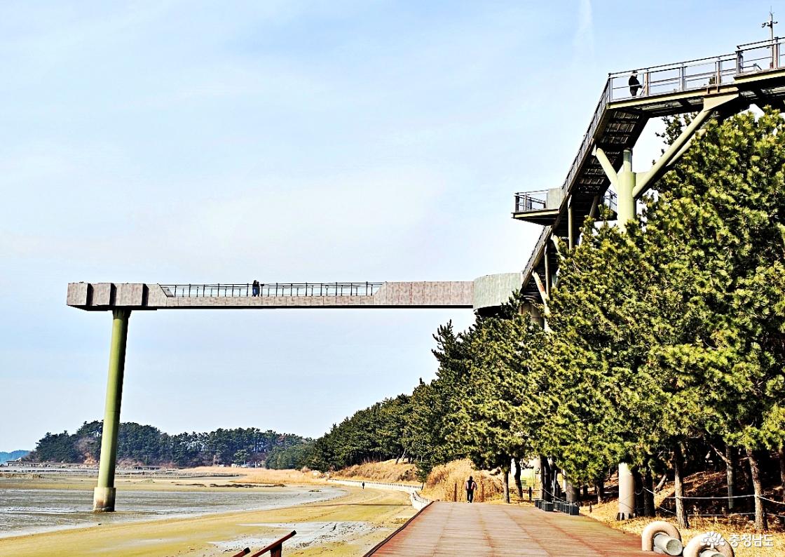 장항 스카이워크