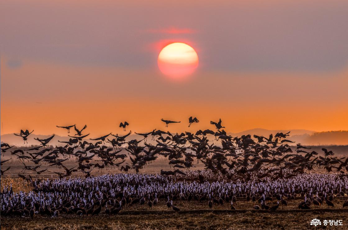 편선환 작가 작품